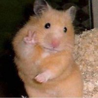 π§π»ββοΈ (@abcdefuckme___) 's Twitter Profile