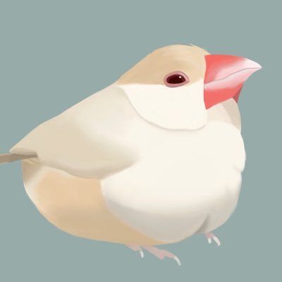 🐣2021.9.4 🏠2021.10.16 ♀ | 無言フォロー失礼します!初めての文鳥飼育・情報収集 | 飼い主は残念なオタク | 永遠に生きろ | アイコンはちまめ様 @chimame25 より🥰