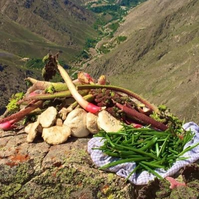 tajik_nazir's profile picture. 