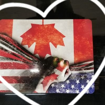 TremblayFrdric4's profile picture. 