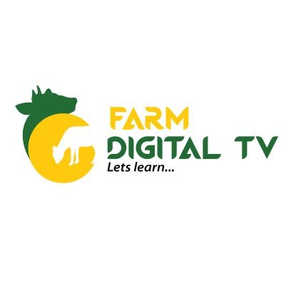 FDTVmedia Profile Picture