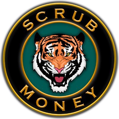 ScrubMoneyDeFi Profile Picture