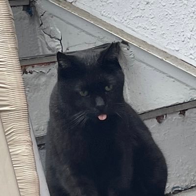 k30p8's profile picture. 