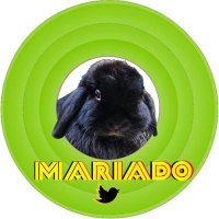 Mariado (@mdan_16) 's Twitter Profile