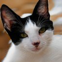 Kelly Moretti - @KellyMoretti4 - Twitter