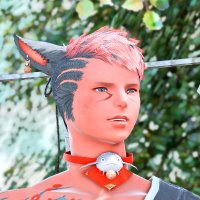 ゴレチ (@golemiso_pienne) 's Twitter Profile
