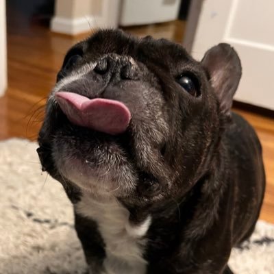 MustanganSally's profile picture. I need a hobby