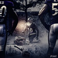 Chad Seifert (@treetrunkchad) 's Twitter Profile