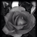 Laura Bill - @lebill15 - Twitter