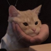 돌이 (@d0ris__) 's Twitter Profile Photo