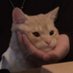 돌이 (@d0ris__) Twitter profile photo 돌이 (@d0ris__) Twitter profile photo