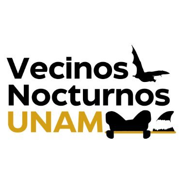 Proyecto que busca registros de cacomixtles y murciélagos en la CDMX, asociado al Laboratorio de Ecología y Conservación de Vertebrados Terrestres @LECVT_IEUNAM