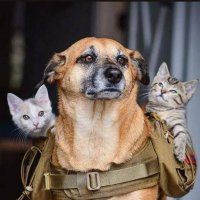cmoonFour(🌸, 🌿)(📽️, 🌿)🛸SSRSSR.STARK.lens (@cmoonfour) 's Twitter Profile