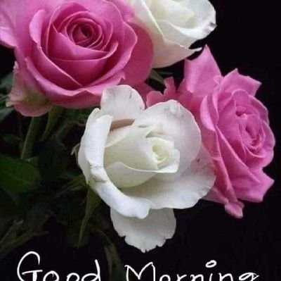 Krishna12421161's profile picture. old Twitter  id 85705131