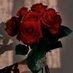 Ethar Mahdi (@etharmahdi1) Twitter profile photo Ethar Mahdi (@etharmahdi1) Twitter profile photo