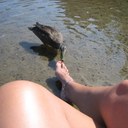 Michele Canada - @MicheleCanada - Twitter