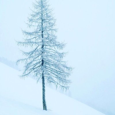 LouONeil15's profile picture. All it takes is faith and trust.