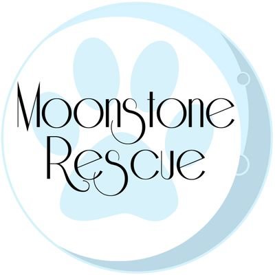 Everything Moonstone Rescue does is for the animals - a not for profit organisation run by people who simply care for the welfare of animals in need.