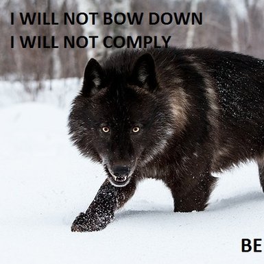 jake_chynoweth's profile picture. Husband, Father, Son, Proud to be Canadian, ashamed of our current government... after 3+ years of BS just want to get back to living life my way!