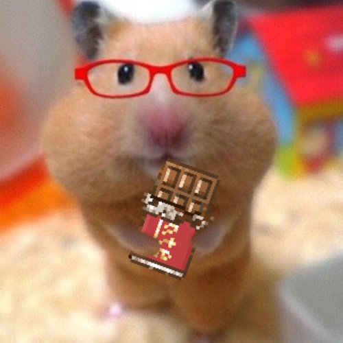 sigh🐹🐰五月病さんのプロフィール画像