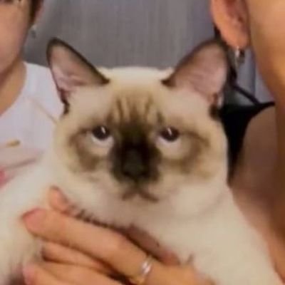 g_ginevraa's profile picture. อยากรวยยยยยยโว๊ยยยยย