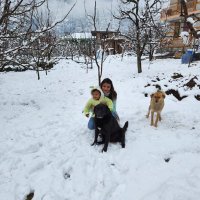Adv. Jyoti Vashisht (@jyotivashisht05) 's Twitter Profile