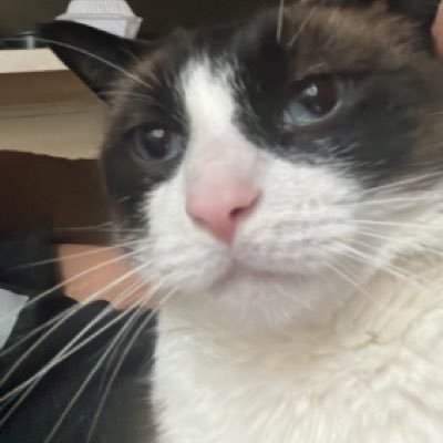 jfen83's profile picture. 