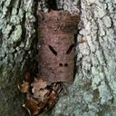 Sian Andrews - @sianand - Twitter