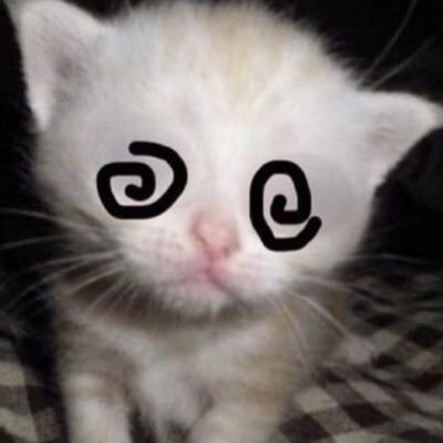 rossztoresborz's profile picture. 