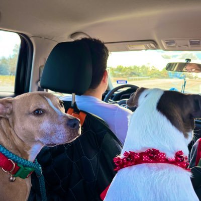 OneLostWon's profile picture. 