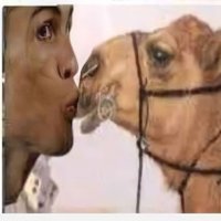 π« Mr. Camels League π«(@_LM7__) 's Twitter Profile Photo π« Mr. Camels League π«(@_LM7__) 's Twitter Profile Photo