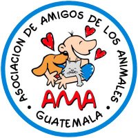 amigosdelosanimales(@AMAguatemala) 's Twitter Profile Photo