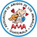 amigosdelosanimales (@AMAguatemala) Twitter profile photo
