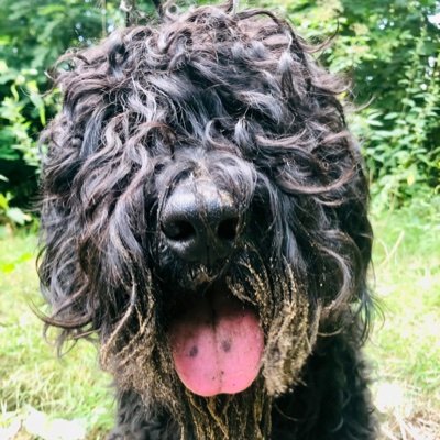 aniaani77781011's profile picture. 