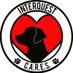 Interquest C.A.R.E.S (@comfort_dogs) Twitter profile photo Interquest C.A.R.E.S (@comfort_dogs) Twitter profile photo