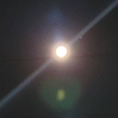 singyogaku's profile picture. 創価学会員です。いわゆる学会3世です。他が前に灯り灯さば我が前明らかになるが如し。よろしくお願いします。