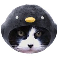 じゅうべぃ (@tabby_jubey) Twitter profile photo