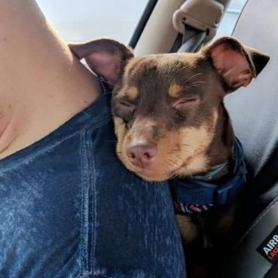 Mamacheetoes's profile picture. 