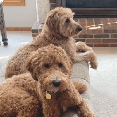 Shelreader's profile picture. Wife, Mother, Glamma ❤️