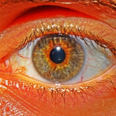 joselelex's profile picture. 