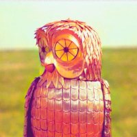 Bubo Invests(@Bubo_Invests) 's Twitter Profile Photo