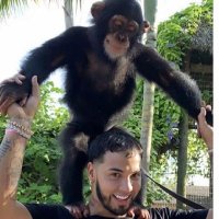 coc enjoyer (@allways____) 's Twitter Profile Photo coc enjoyer (@allways____) 's Twitter Profile Photo