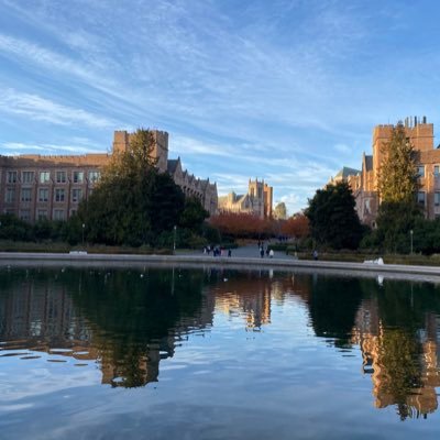 lemon_bluesky's profile picture. 