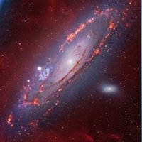 Thomaz F (@thomazfitted) 's Twitter Profile