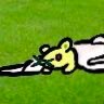 kipさんのプロフィール画像