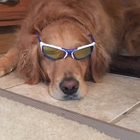 Ben Solazzo (@bensolazzo) 's Twitter Profile