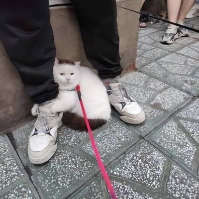 9RCZUXJYfEvb26z's profile picture. ※無言フォロー申し訳ございません。
家事ができる男の人はすごい。睡眠と猫と動物だけ好き。
ADHD/ASD/LD/HSP/社会不安障害/アダルトチルドレン/耳管開放症重度/映画好き/絵画好き/ドキュメンタリー好き/歴史好き/難工事興味あり/メガネ好き/コンサータストラテラインチュニブ