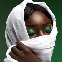 The Nigerian (@denigerianbrand) 's Twitter Profile