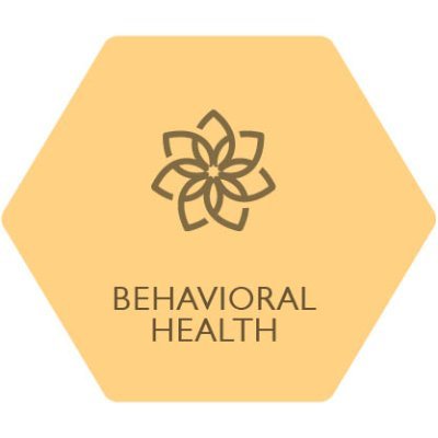 Providing high-quality evidence-based education and training to interdisciplinary behavioral health rehabilitation professionals and community educators