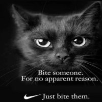 Palm🏴𓅃 (@perfectlyweird) 's Twitter Profile Photo